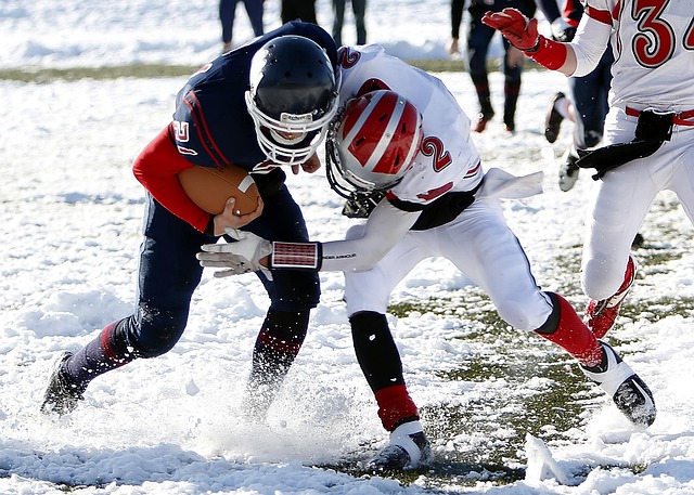 冰雪运动员 冰雪运动员